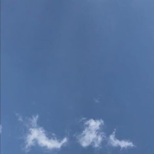 Meet your Posher, Priscilla